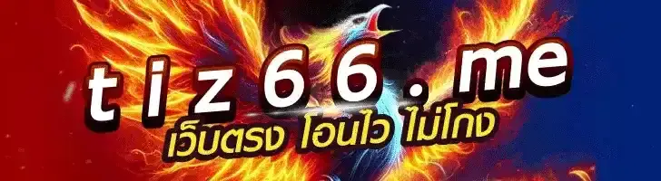 tiz66